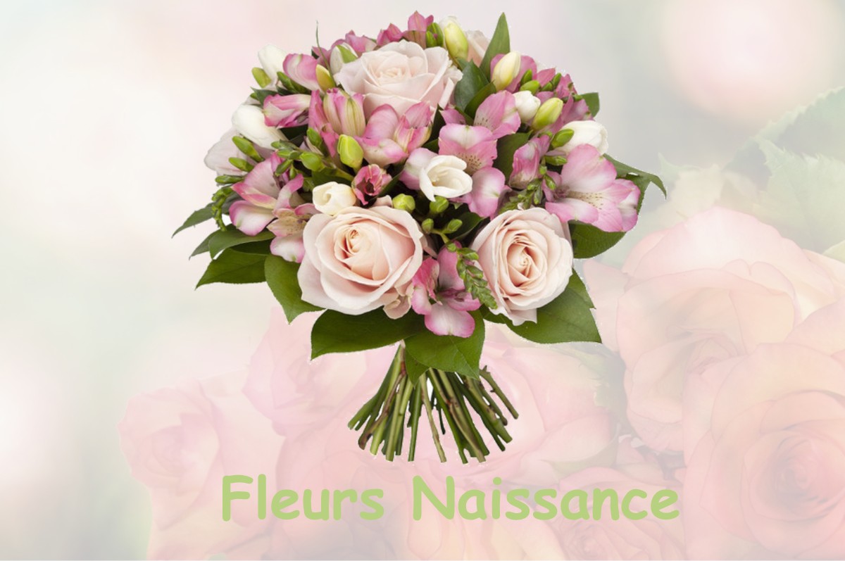 fleurs naissance LE-MOULINET-SUR-SOLIN