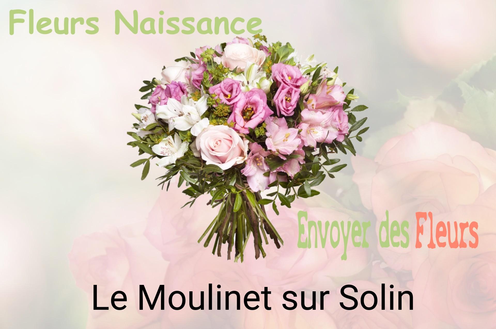Bouquet de fleurs de naissance livré à Le Moulinet-sur-Solin