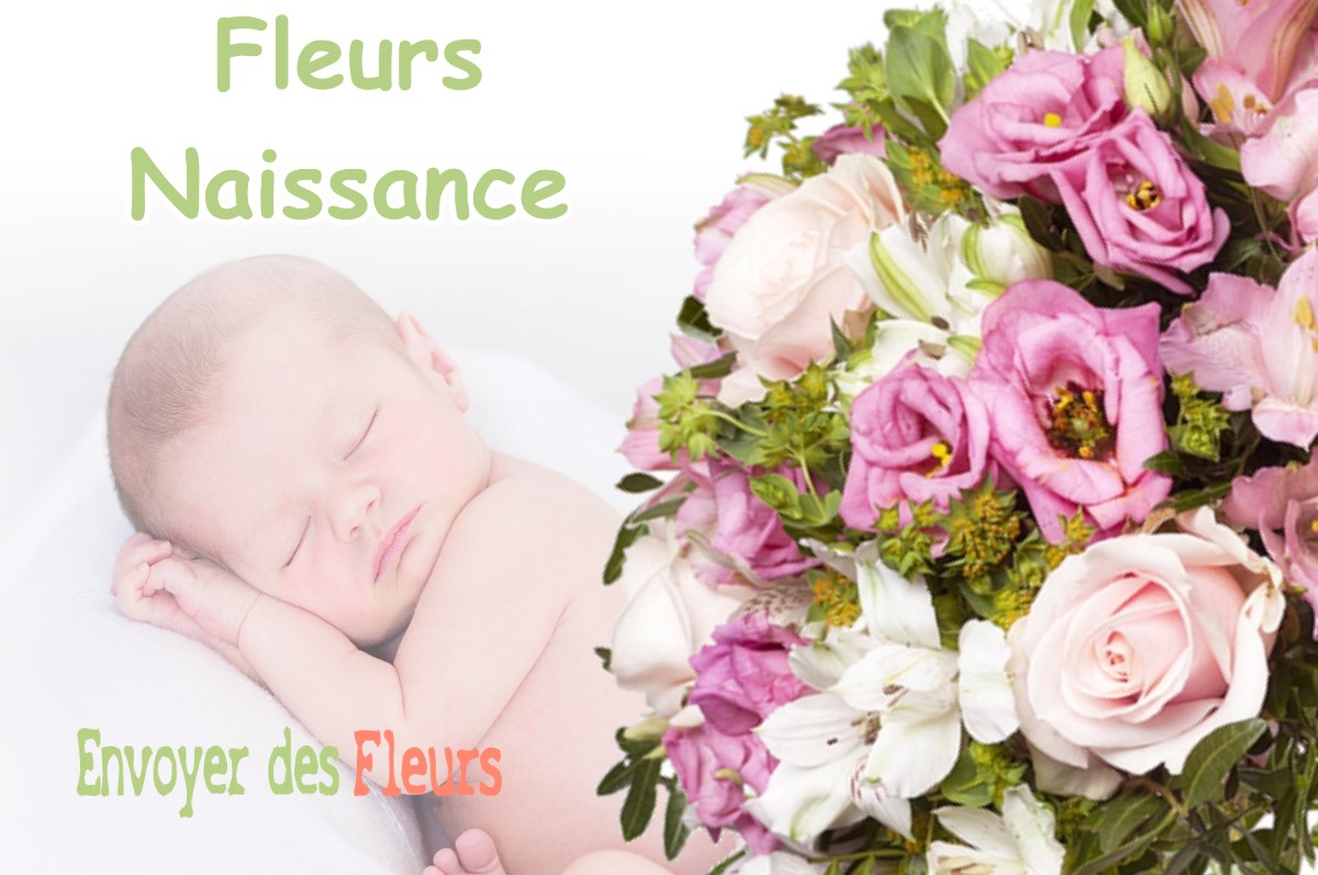 lIVRAISON FLEURS NAISSANCE à LE-MOULINET-SUR-SOLIN